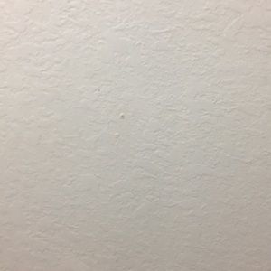 Meet your Posher, Carlos